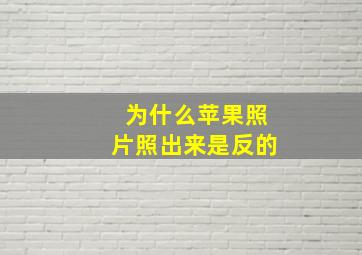 为什么苹果照片照出来是反的