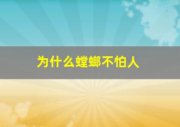 为什么螳螂不怕人