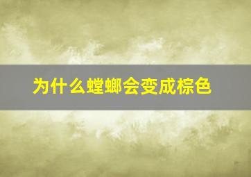 为什么螳螂会变成棕色