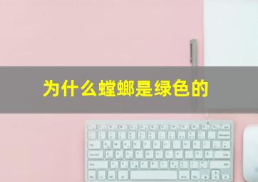 为什么螳螂是绿色的