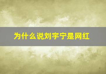 为什么说刘宇宁是网红