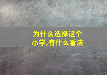 为什么选择这个小学,有什么看法