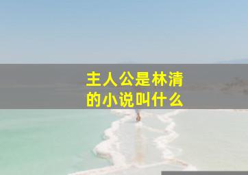 主人公是林清的小说叫什么