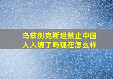 乌兹别克斯坦禁止中国人入境了吗现在怎么样