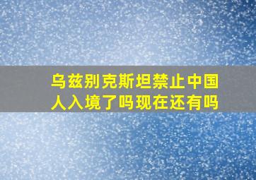 乌兹别克斯坦禁止中国人入境了吗现在还有吗