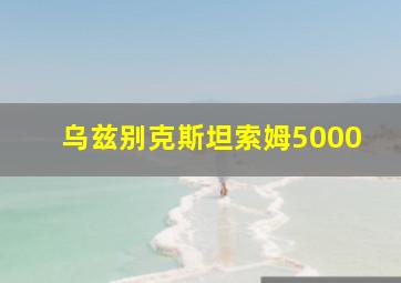 乌兹别克斯坦索姆5000