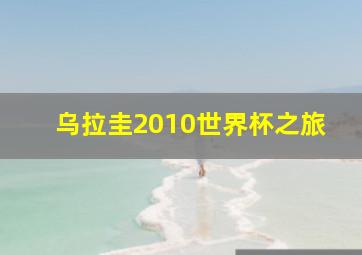 乌拉圭2010世界杯之旅