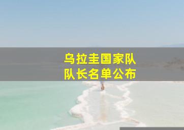 乌拉圭国家队队长名单公布