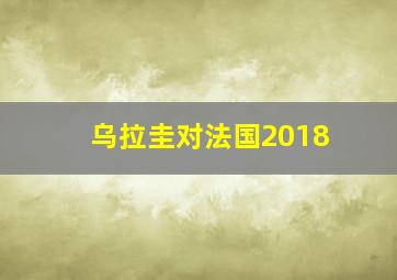 乌拉圭对法国2018