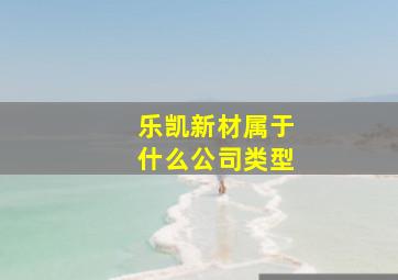 乐凯新材属于什么公司类型