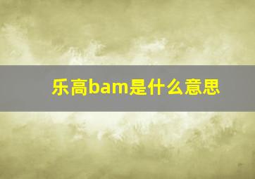 乐高bam是什么意思