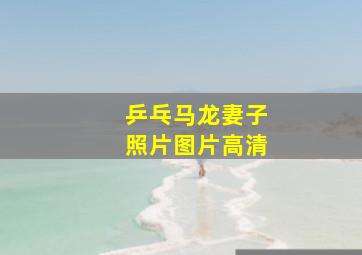 乒乓马龙妻子照片图片高清