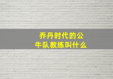 乔丹时代的公牛队教练叫什么