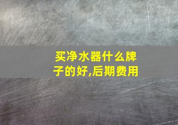 买净水器什么牌子的好,后期费用