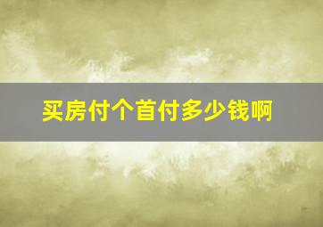 买房付个首付多少钱啊