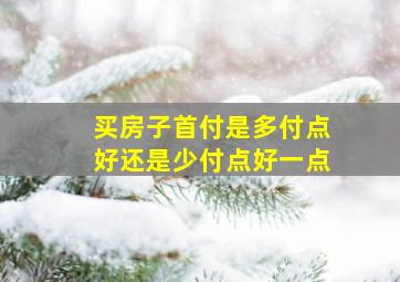 买房子首付是多付点好还是少付点好一点