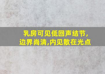 乳房可见低回声结节,边界尚清,内见散在光点