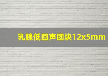 乳腺低回声团块12x5mm