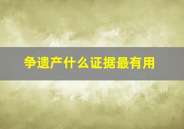 争遗产什么证据最有用