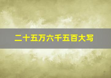 二十五万六千五百大写