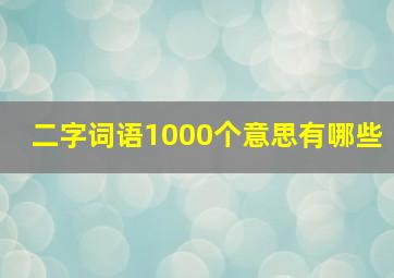 二字词语1000个意思有哪些