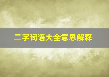 二字词语大全意思解释