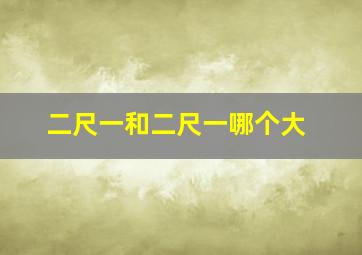 二尺一和二尺一哪个大