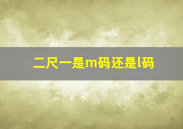 二尺一是m码还是l码