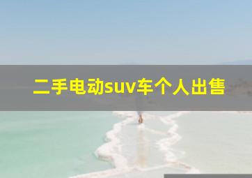 二手电动suv车个人出售