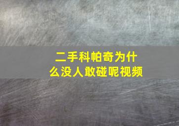 二手科帕奇为什么没人敢碰呢视频