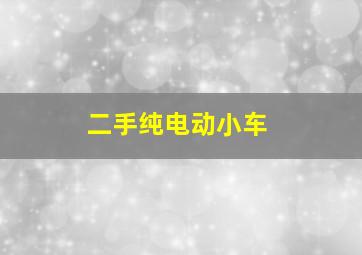 二手纯电动小车