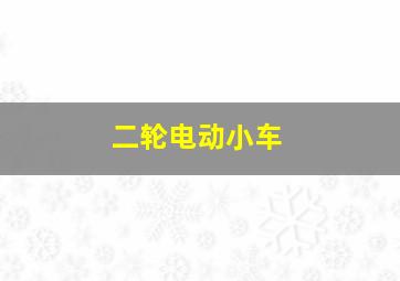 二轮电动小车