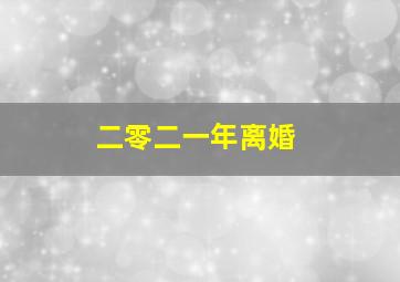 二零二一年离婚