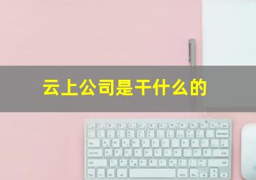 云上公司是干什么的