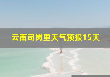 云南司岗里天气预报15天