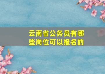 云南省公务员有哪些岗位可以报名的