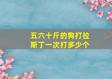 五六十斤的狗打拉斯丁一次打多少个