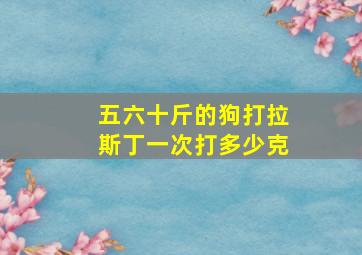 五六十斤的狗打拉斯丁一次打多少克