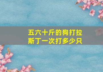 五六十斤的狗打拉斯丁一次打多少只