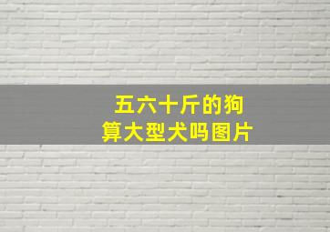 五六十斤的狗算大型犬吗图片