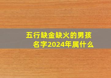 五行缺金缺火的男孩名字2024年属什么