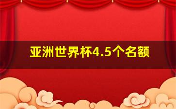 亚洲世界杯4.5个名额