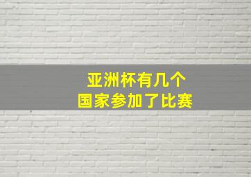 亚洲杯有几个国家参加了比赛