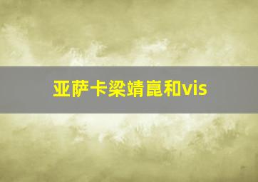 亚萨卡梁靖崑和vis