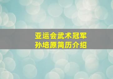 亚运会武术冠军孙培原简历介绍