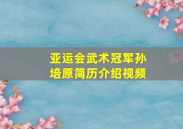 亚运会武术冠军孙培原简历介绍视频