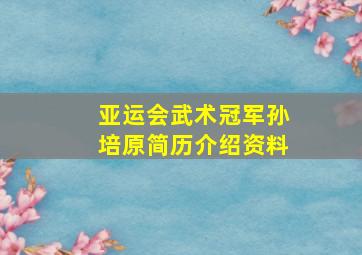 亚运会武术冠军孙培原简历介绍资料