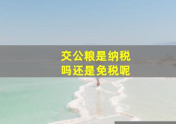 交公粮是纳税吗还是免税呢