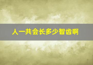 人一共会长多少智齿啊