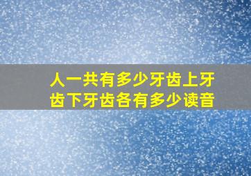 人一共有多少牙齿上牙齿下牙齿各有多少读音